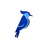 Bluejay